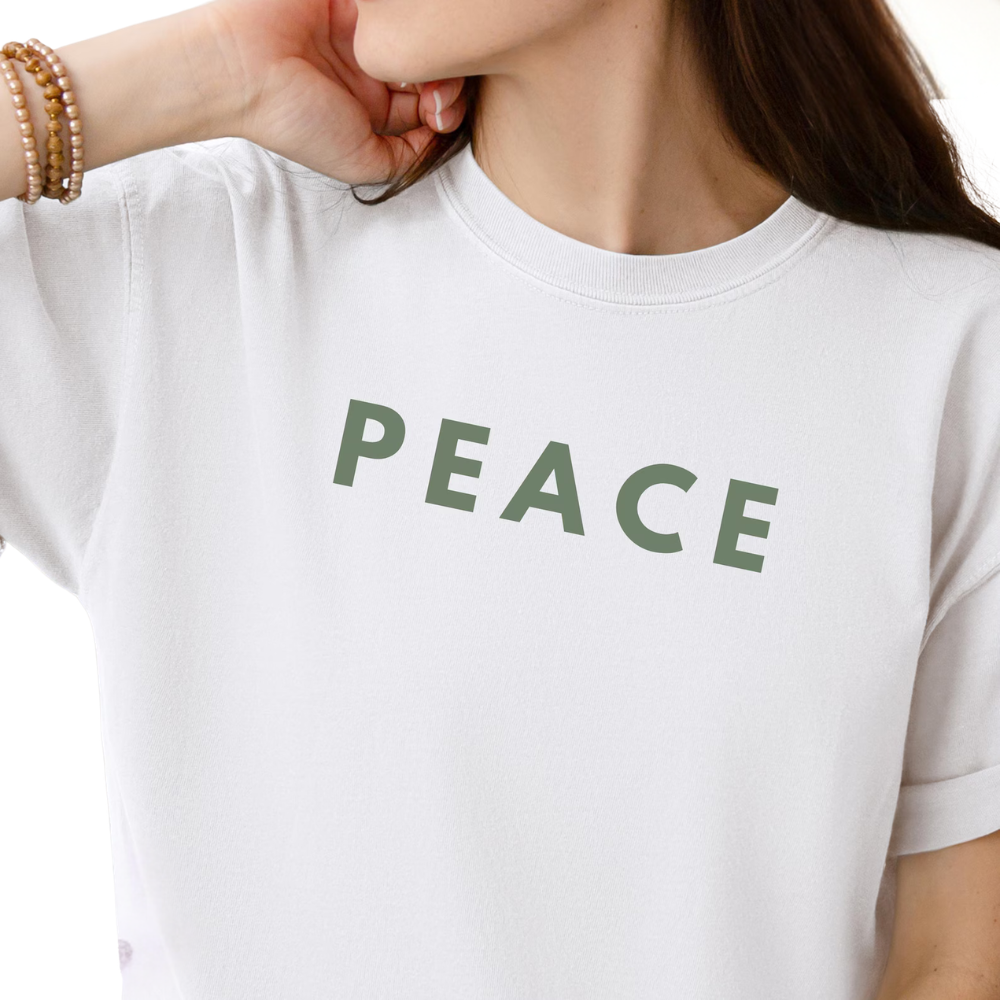 I Come In Peace & Peace Matching His And Her T Shirt, Funny Couple Shirts ET1327