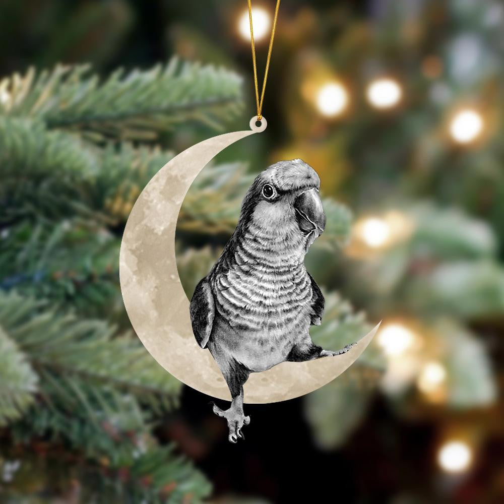Parrot Sits On The Moon Hanging Flat Acrylic Ornament OO3531