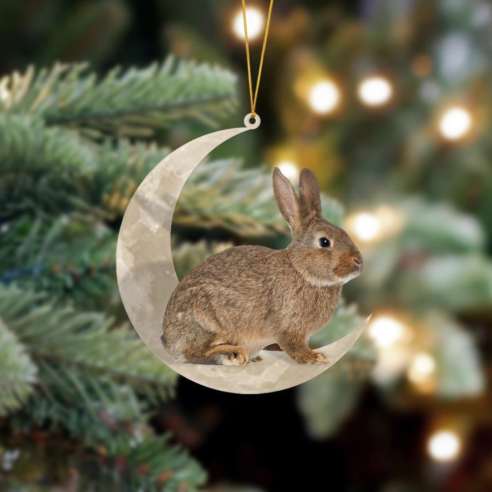 Rabbit Bunny Sits On The Moon Hanging Flat Acrylic Ornament OO3494