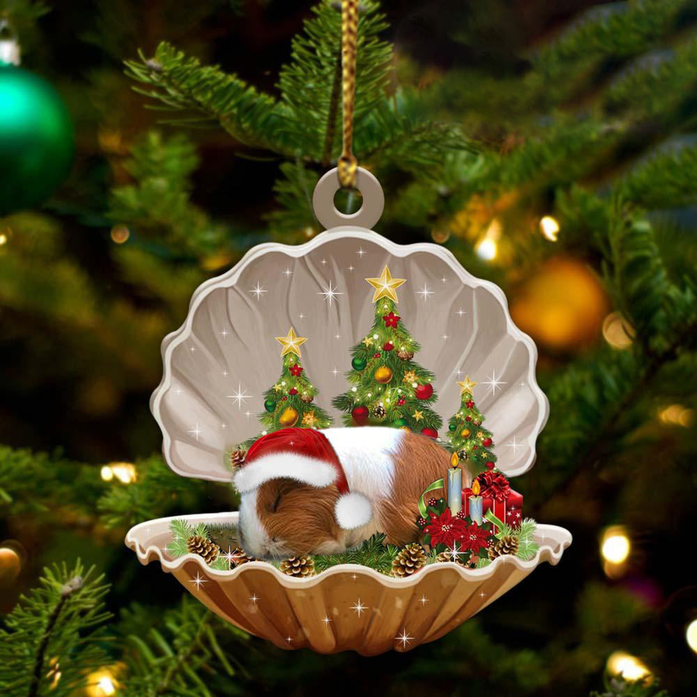 Guinea Pig3 Sleeping in Pearl Dog Christmas Ornament Flat Acrylic OO2700
