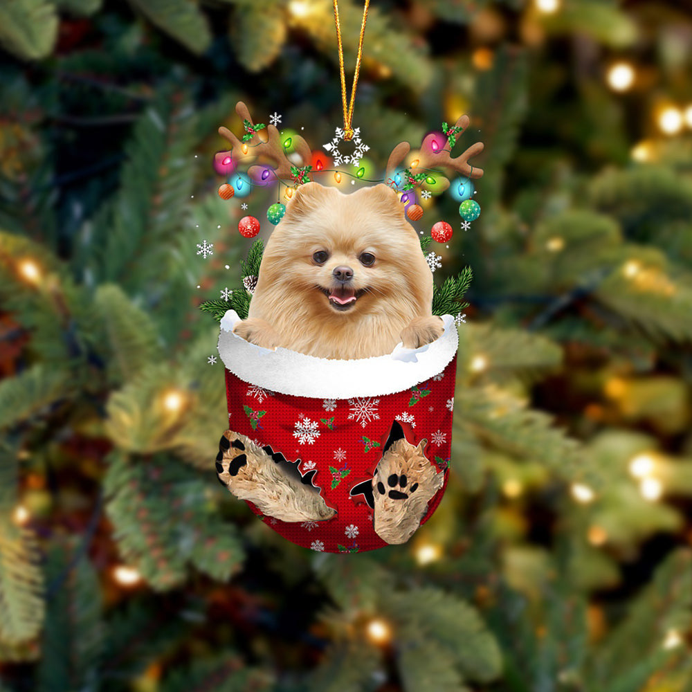 CREAM Pomeranian In Snow Pocket Christmas Ornament Flat Acrylic Dog Ornament OO2352