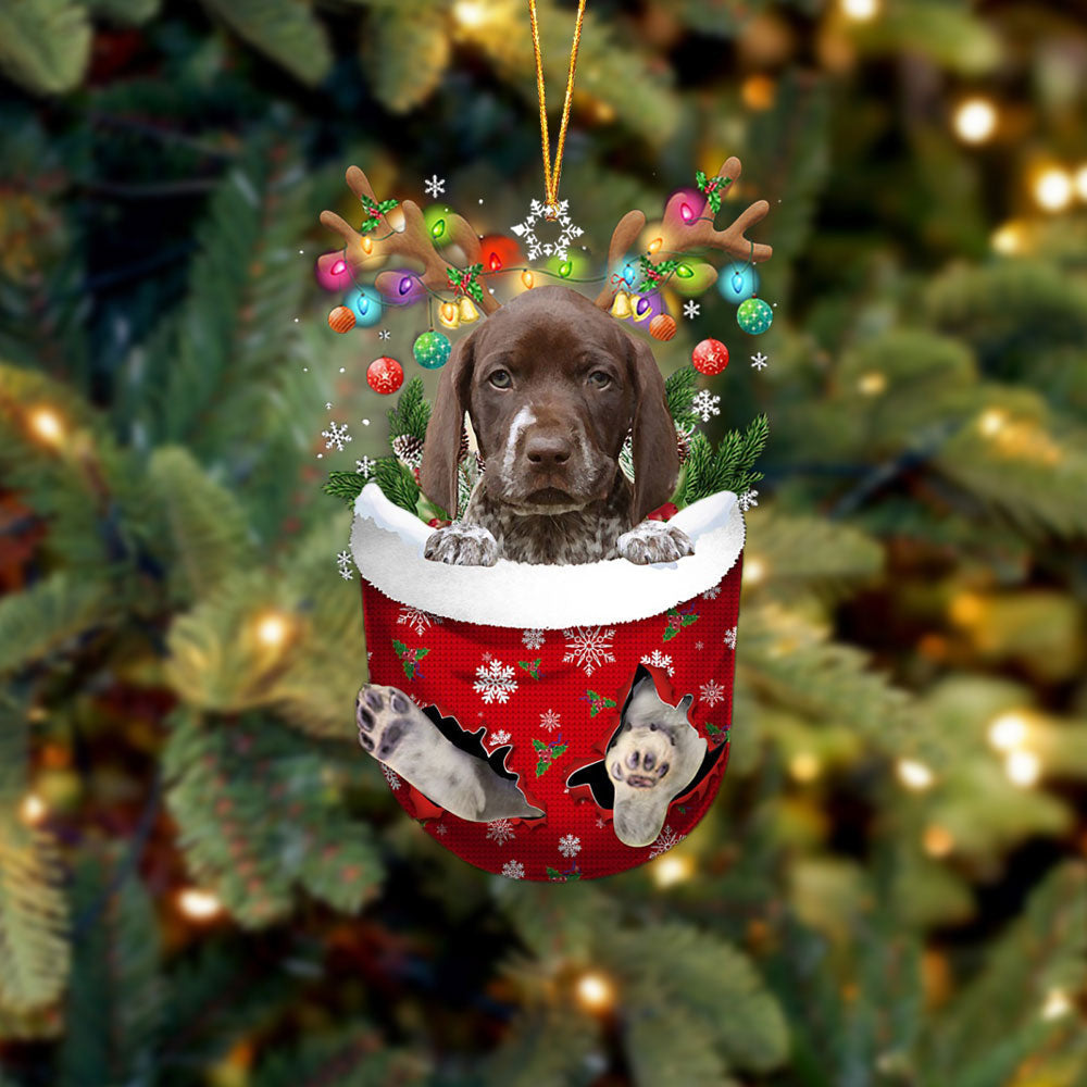 German Shorthaired Pointer In Snow Pocket Christmas Ornament Flat Acrylic Dog Ornament OO2345