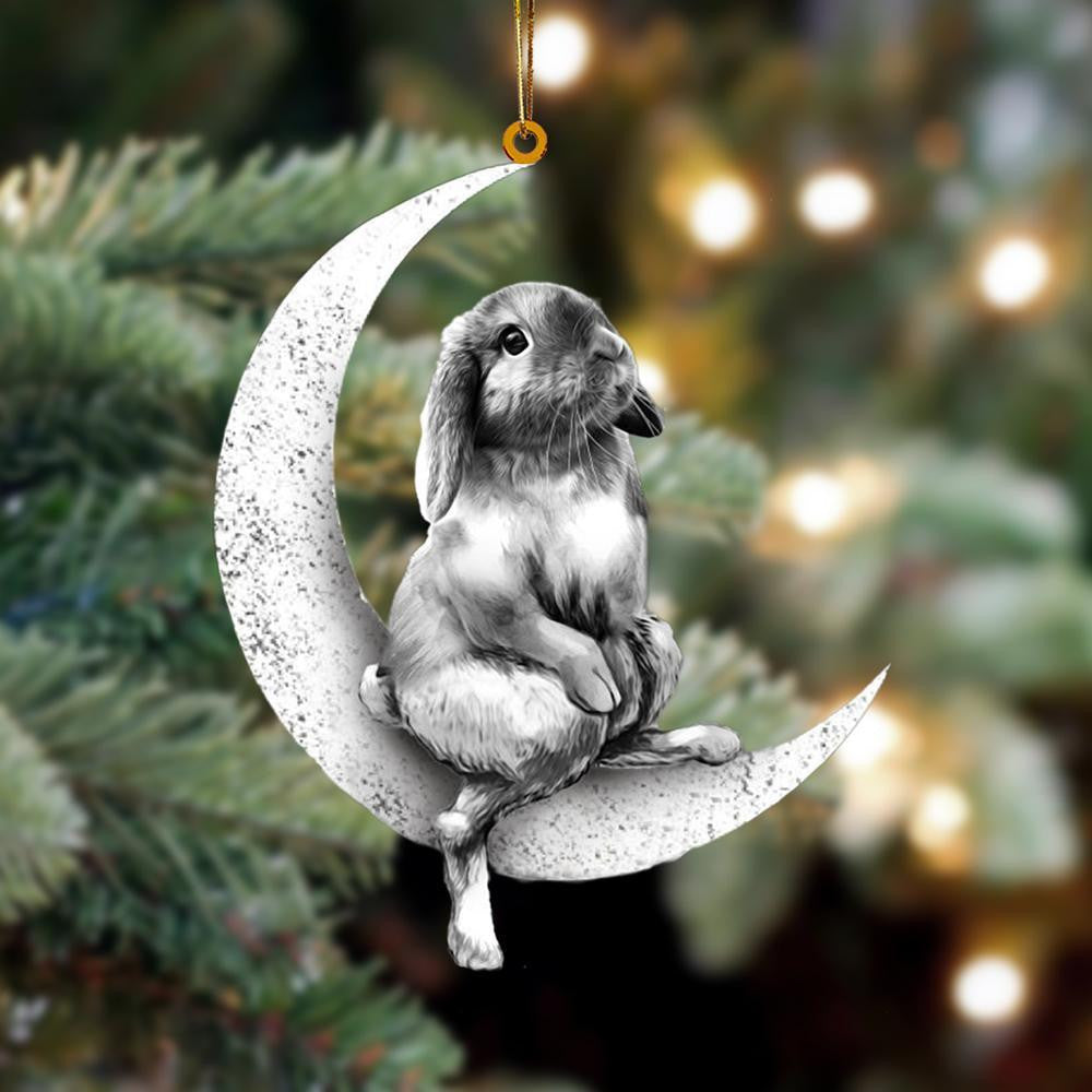Rabbit Sits On The Moon Flat Acrylic Hanging Ornament Animals Shaped OO2248