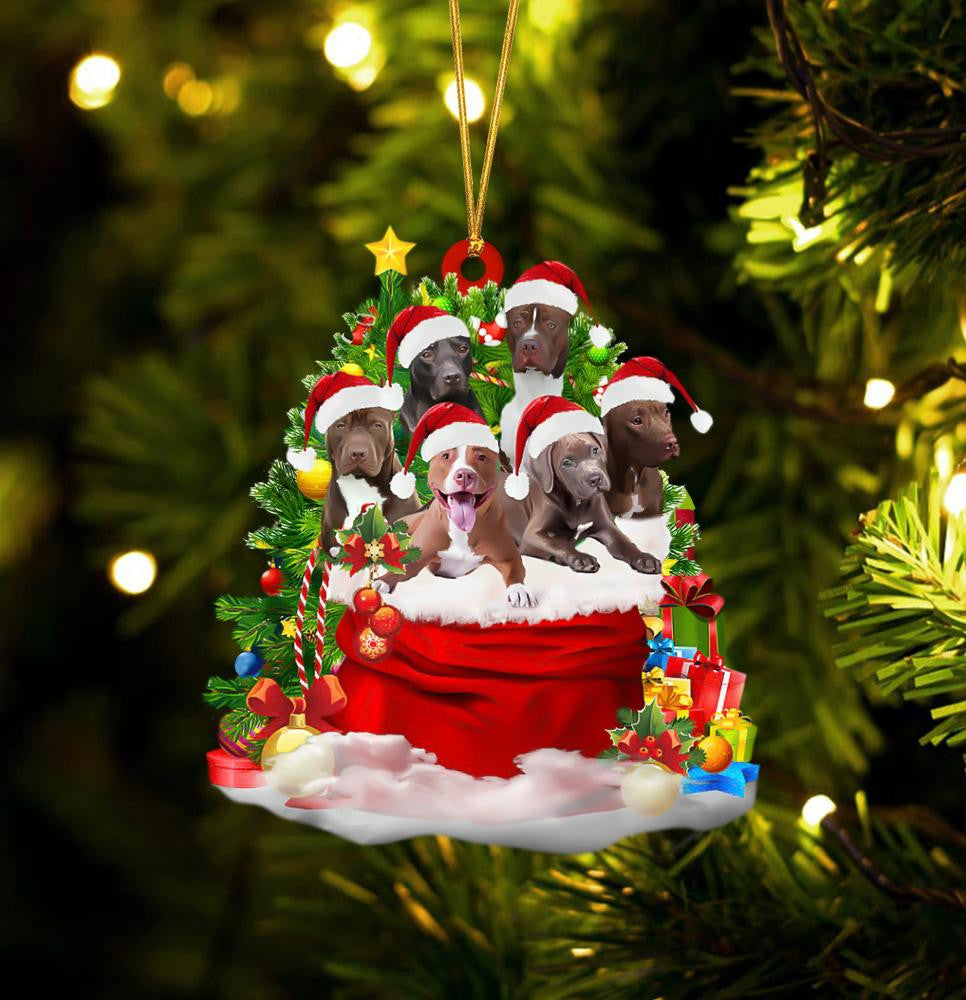 Pit Bull Dogs In A Gift Bag Christmas Ornament Flat Acrylic Dog Ornament OO2226