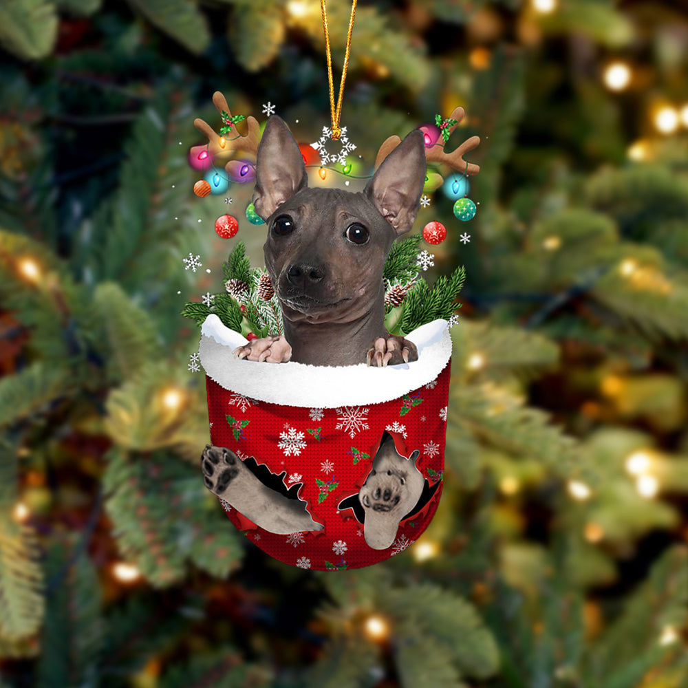 American Hairless Terrier In Snow Pocket Christmas Ornament Flat Acrylic Dog Ornament OO2168