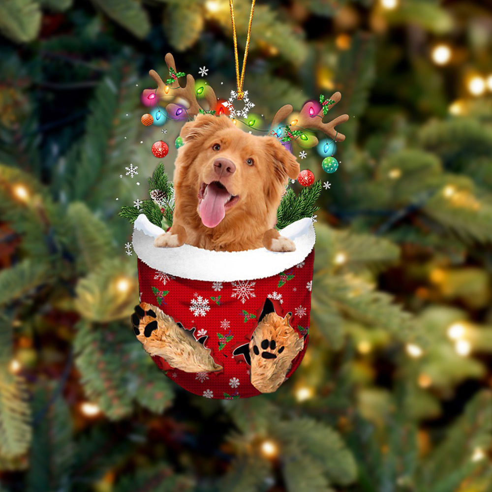 Nova Scotia Duck Tolling Retriever In Snow Pocket Christmas Ornament Flat Acrylic Dog Ornament OO2154