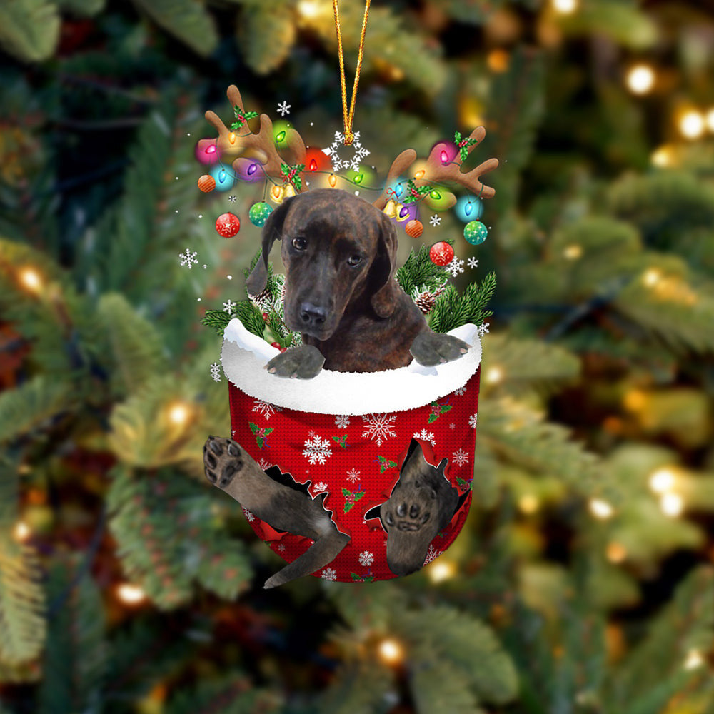 Plott Hound In Snow Pocket Christmas Ornament Flat Acrylic Dog Ornament OO2147