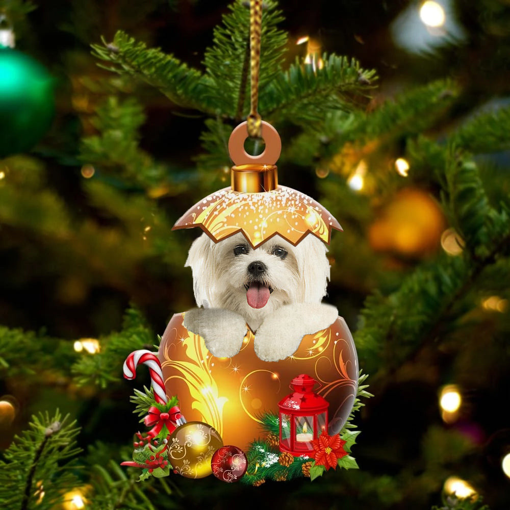 Maltese In in Golden Egg Christmas Ornament, Flat Acrylic Dog Ornament OO2015