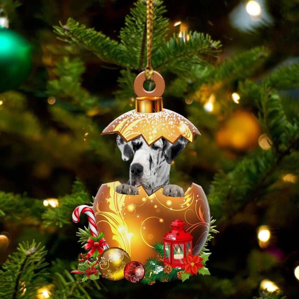 Great Dane In in Golden Egg Christmas Ornament, Flat Acrylic Dog Ornament OO2002