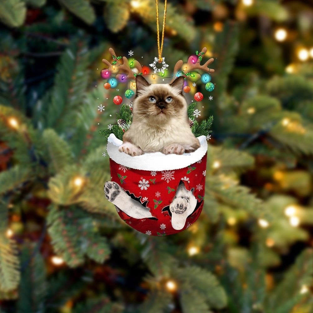 Funny Himalayan In Snow Pocket Christmas Ornament Flat Acrylic Cat Ornament OO3826