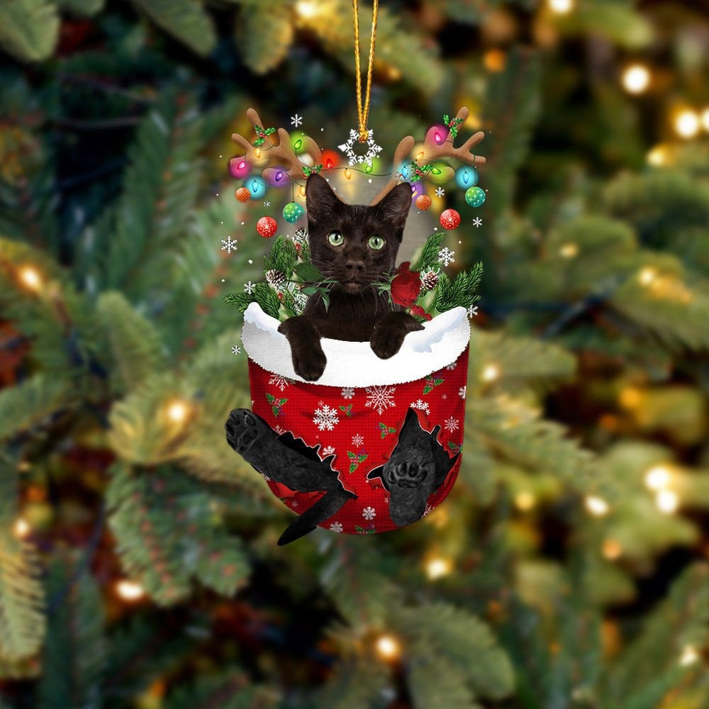 Havana Brown Cat In Snow Pocket Christmas Ornament Flat Acrylic Cat Ornament OO3849