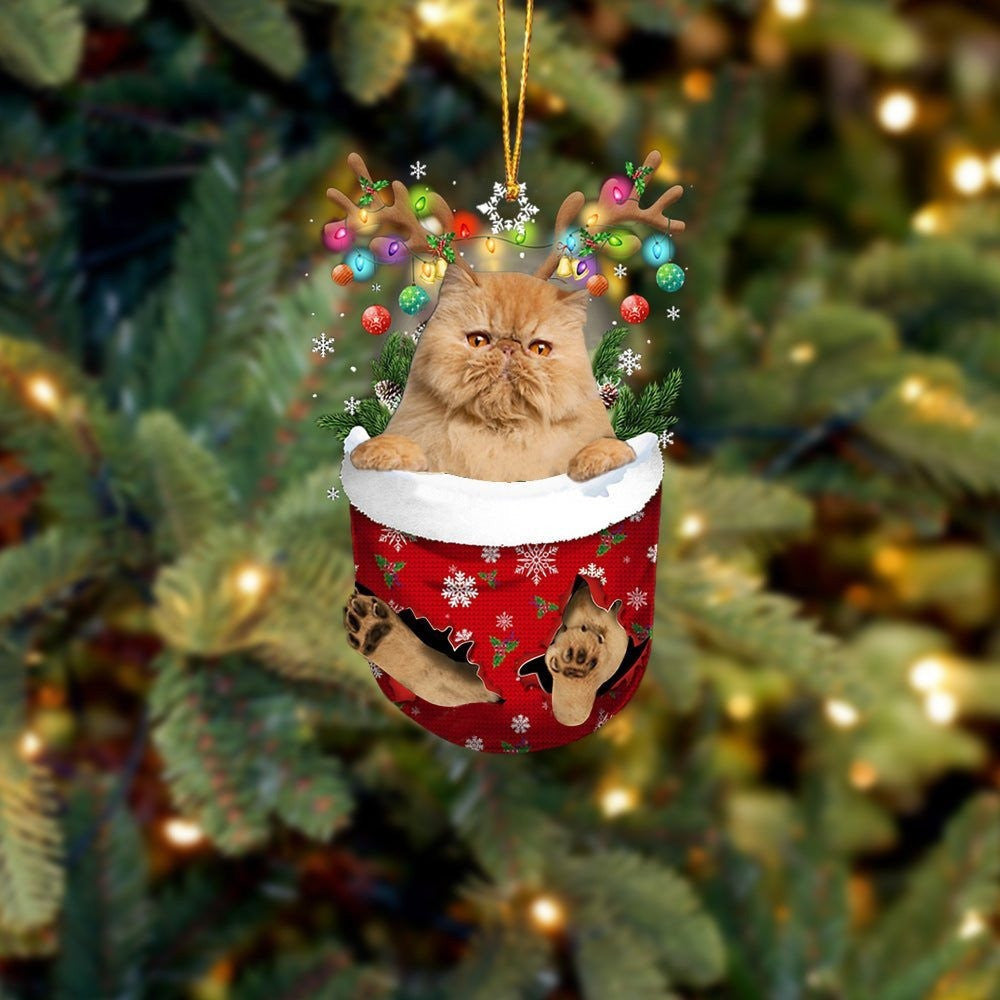 Funny Brown Cat In Snow Pocket Christmas Ornament Flat Acrylic Cat Ornament OO3846