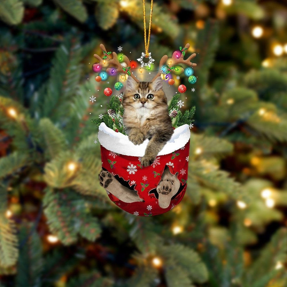 Funny Cat British Longhair In Snow Pocket Christmas Ornament Flat Acrylic Cat Ornament OO3839