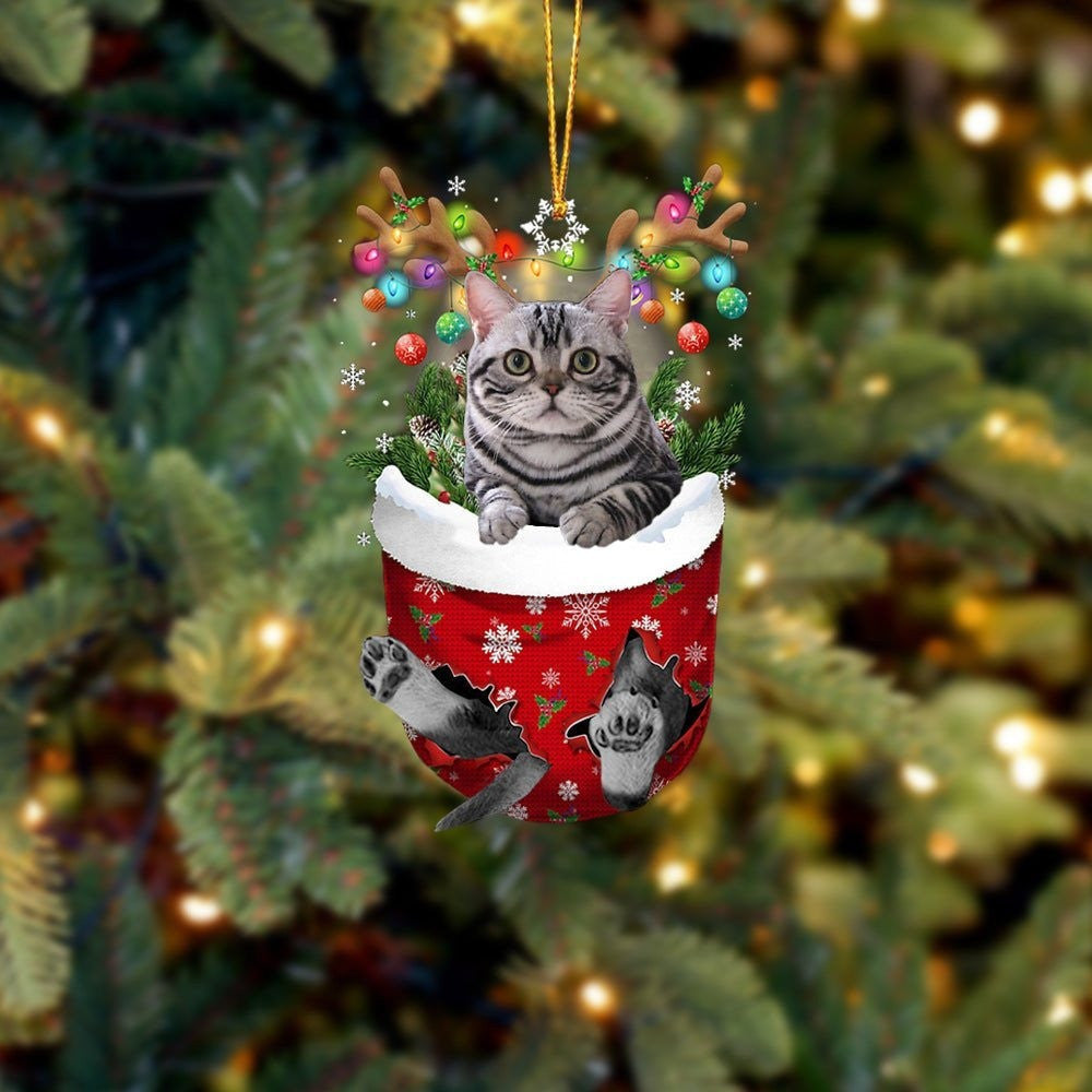 Grey Cat In Snow Pocket Christmas Ornament Flat Acrylic Cat Ornaments OO3807
