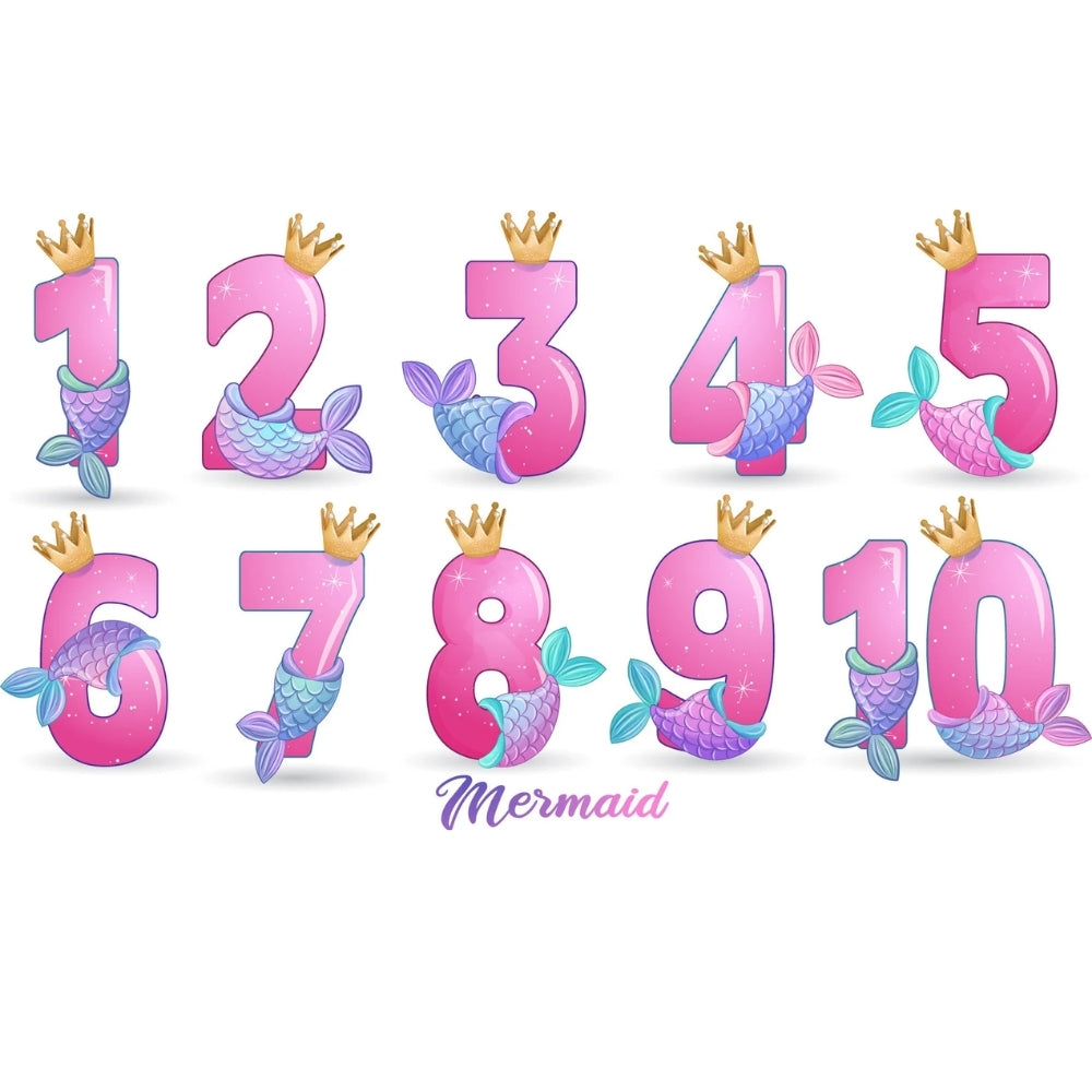 Custom Mermail Birthday Girl Matching Family T Shirts, Personalized Mermaid Birthday Family Shirts ET0419