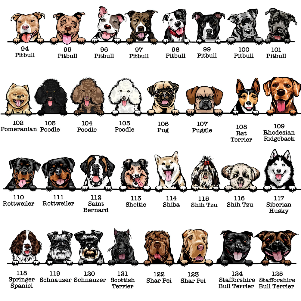 Personalized Dog New Best Friend Baby Romper Sweatshirt, Custom Dog Baby Sweatshirt Romper BB0473
