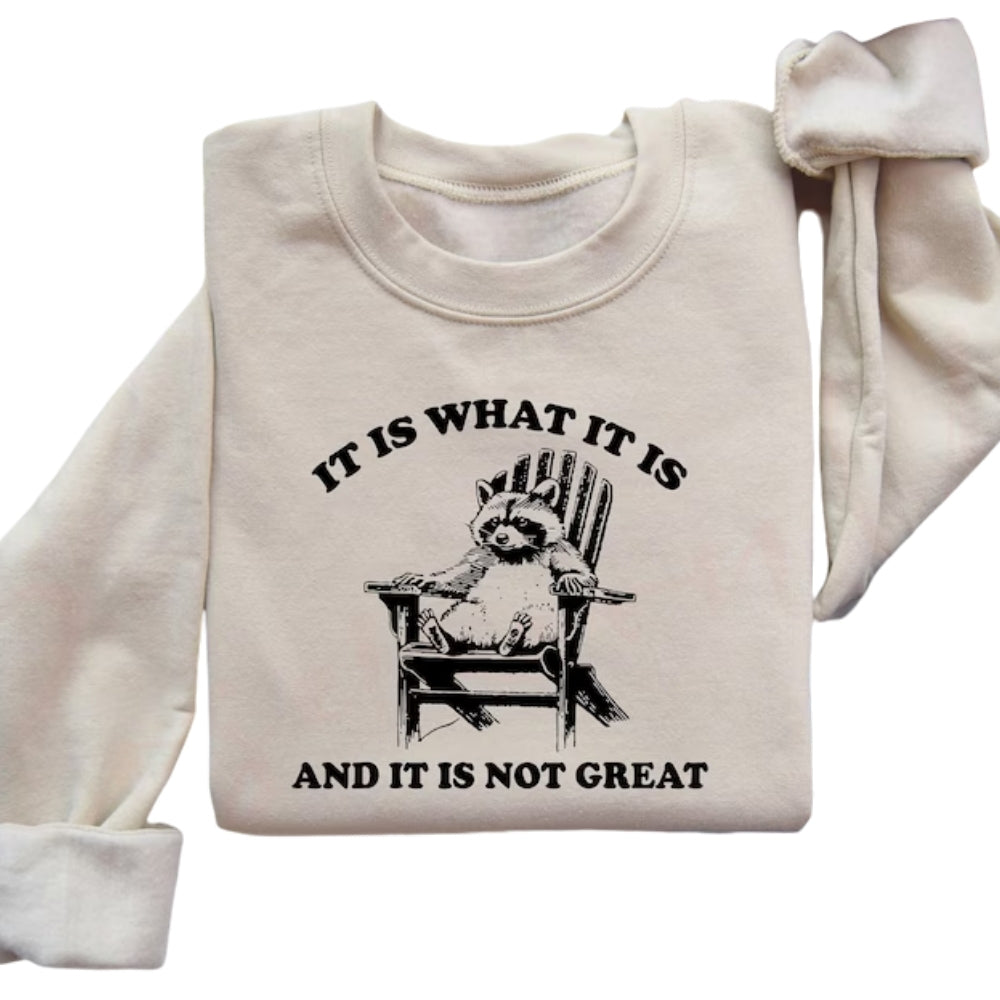 It Is What It Is And It Is Not Great Sweatshirt, Funny Raccoon Sweatshirt 2D0753