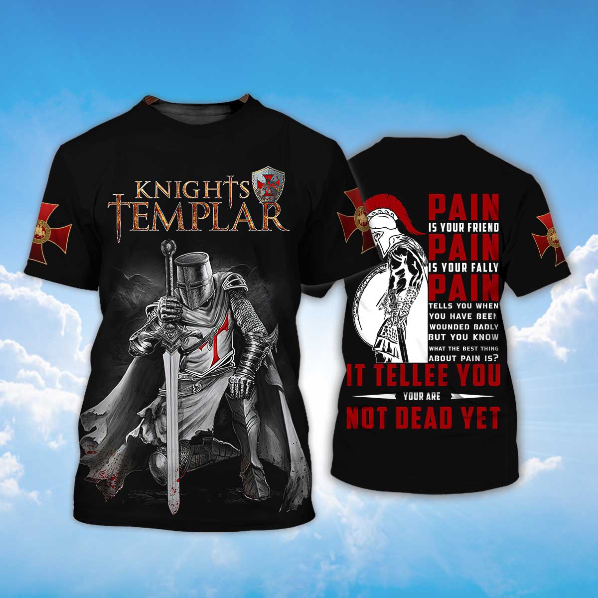Knights Templar Pain Is Your Friend T Shirt Templar Warrior Shirt Men Women TO1479