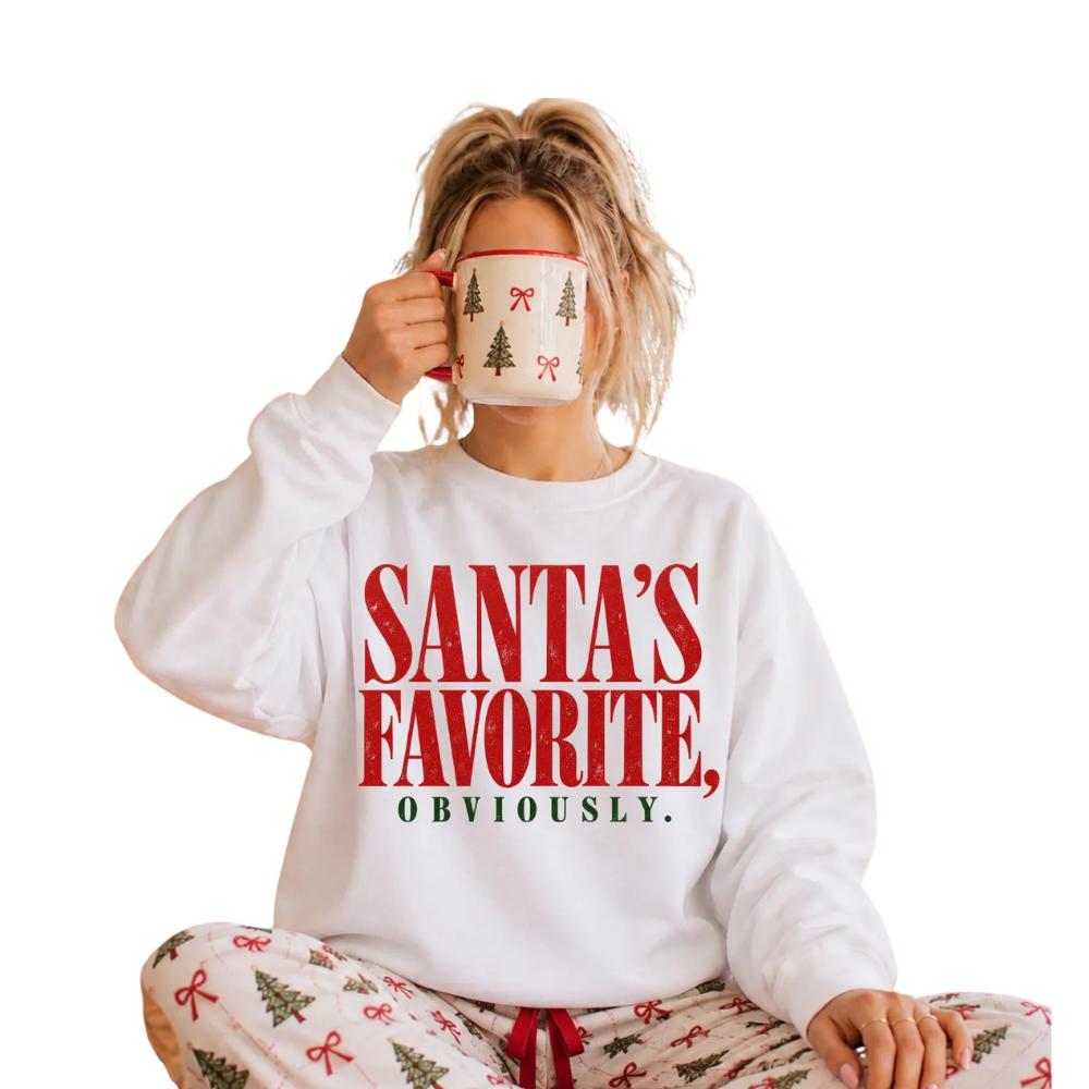 Santa's Favorite Obviously Sweatshirt For Women, Funny Christmas Sweatshirt 2D1229