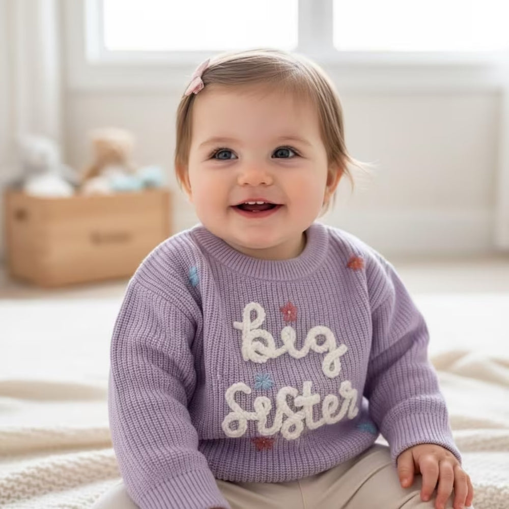 Big Sister Little Sister Baby Embroidered Sweater, Sister Sibling Baby Sweatshirt BB0775