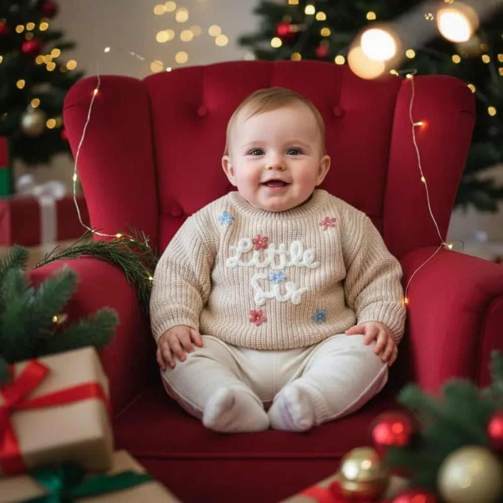 Big Sister Little Sister Baby Embroidered Sweater, Sister Sibling Baby Sweatshirt BB0775