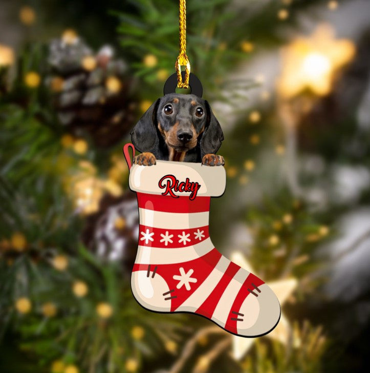 Personalized Funny Dachshund in Stock Acrylic Ornament for Christmas Gift Dog Lovers OO3707