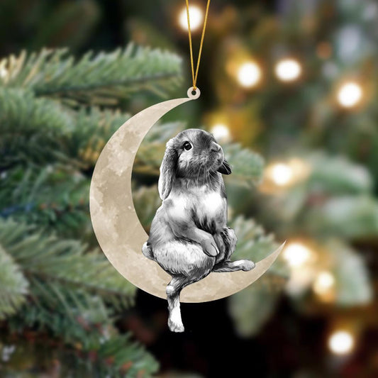 Rabbit Sits On The Moon Hanging Flat Acrylic Ornament OO3525