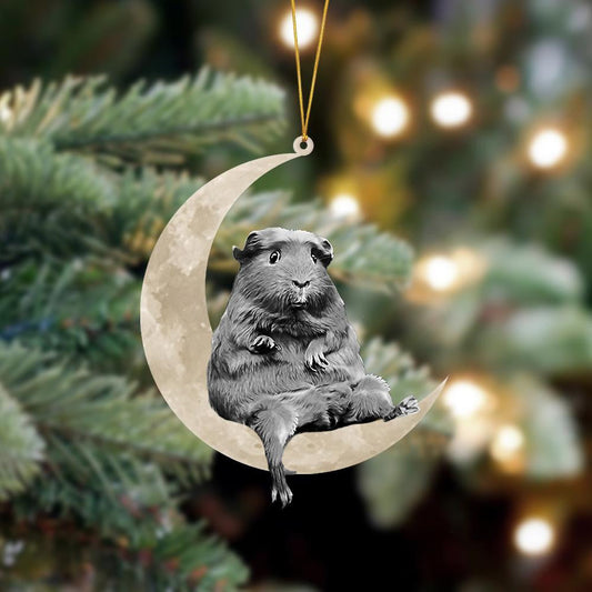 Guinea Sits On The Moon Hanging Flat Acrylic Ornament OO3497