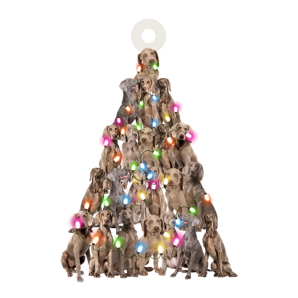 Weimaraner Christmas Tree Shaped Acrylic Ornament For Weimaraner Lovers OO3309