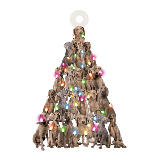 Weimaraner Christmas Tree Shaped Acrylic Ornament For Weimaraner Lovers OO3309