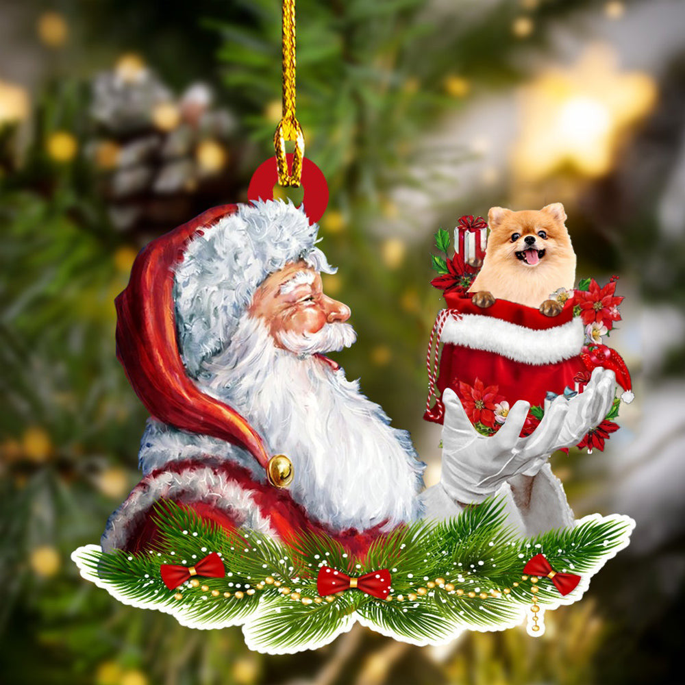 Pomeranian and Santa Christmas Ornament for Dog Lovers, Dog Mom Acrylic Dog Ornament OO3271