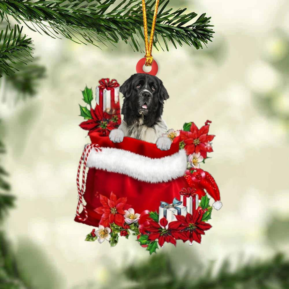 Newfounderland In Gift Bag Christmas Ornament for Dog Lovers Made by Acrylic OO3047