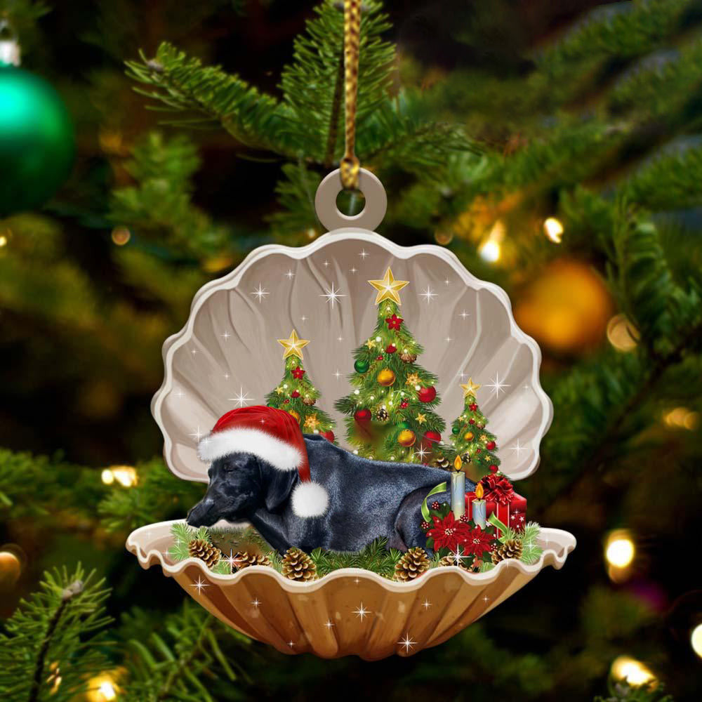 Black Labrador Retriever Sleeping in Pearl Dog Christmas Ornament Flat Acrylic OO2736