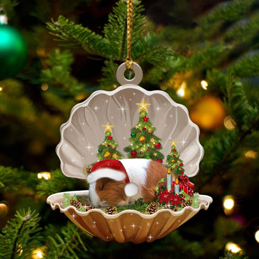 Guinea Pig3 Sleeping in Pearl Dog Christmas Ornament Flat Acrylic OO2700