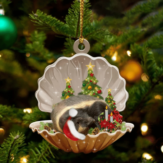 Honey Badger3 Sleeping in Pearl Dog Christmas Ornament Flat Acrylic OO2692
