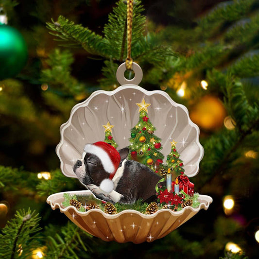 Boston Terrier Sleeping in Pearl Dog Christmas Ornament Flat Acrylic OO2663