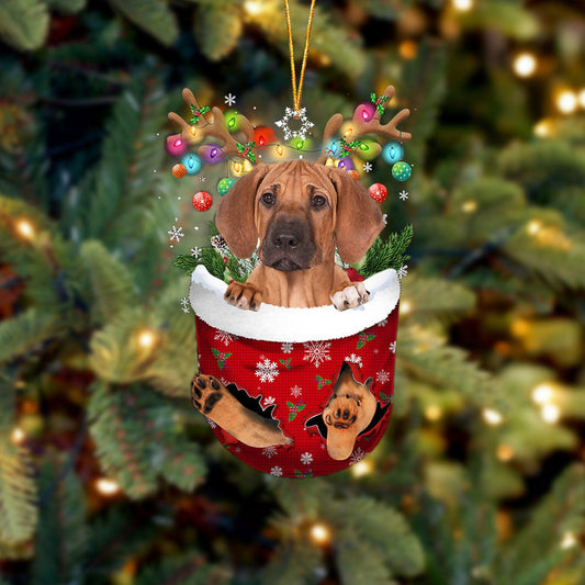 Rhodesian Ridgeback In Snow Pocket Christmas Ornament Flat Acrylic Dog Ornament OO2453