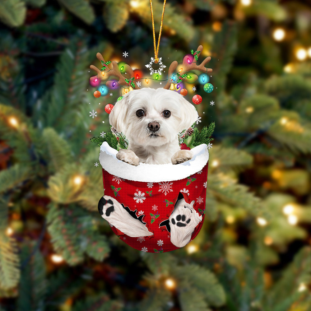WHITE Maltese In Snow Pocket Christmas Ornament Flat Acrylic Dog Ornament OO2449