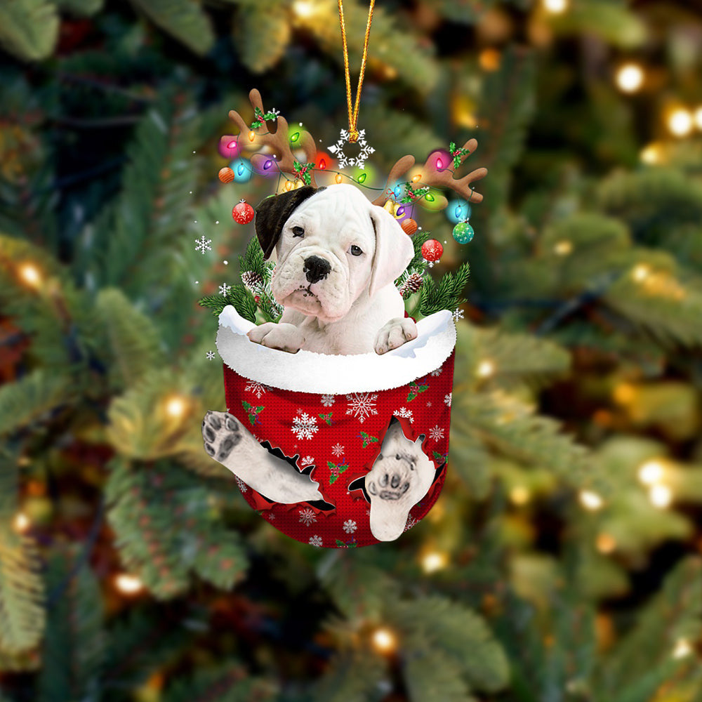 WHITE Boxer In Snow Pocket Christmas Ornament Flat Acrylic Dog Ornament OO2412