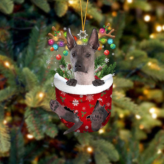 Xoloitzcuintli In Snow Pocket Christmas Ornament Flat Acrylic Dog Ornament OO2395