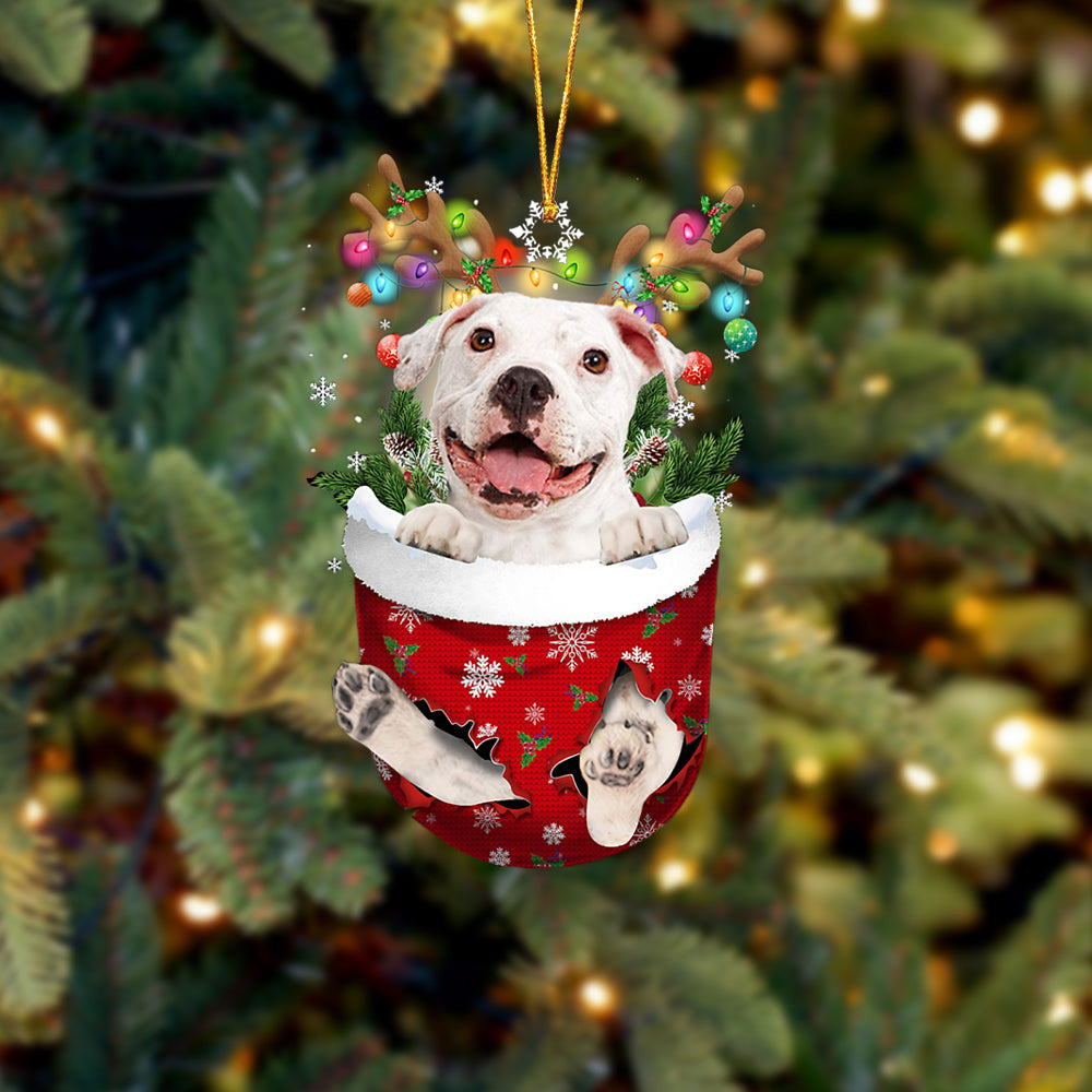 WHITE Pitbulll In Snow Pocket Christmas Ornament Flat Acrylic Dog Ornament OO2383