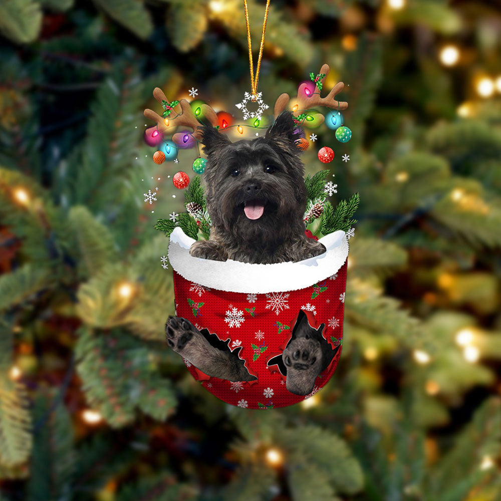Cairn Terrier 2 In Snow Pocket Christmas Ornament Flat Acrylic Dog Ornament OO2353