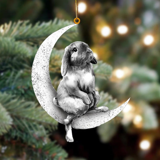Rabbit Sits On The Moon Flat Acrylic Hanging Ornament Animals Shaped OO2248