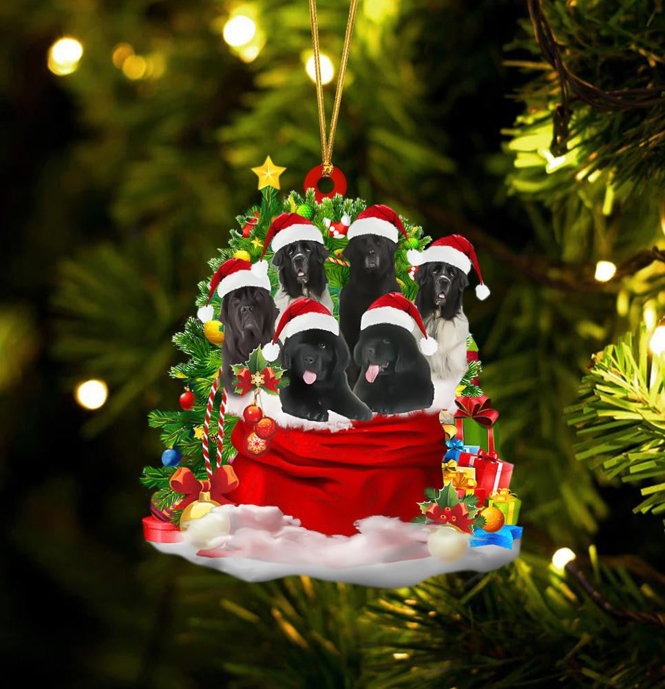 Newfoundland Dogs In A Gift Bag Christmas Ornament Flat Acrylic Dog Ornament OO2211