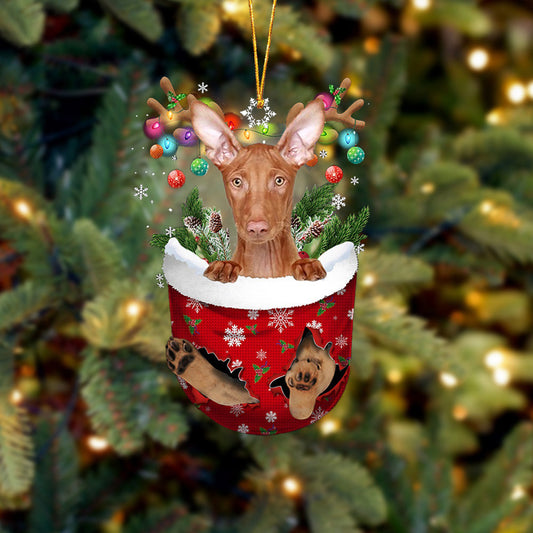 Pharaoh Hound In Snow Pocket Christmas Ornament Flat Acrylic Dog Ornament OO2175