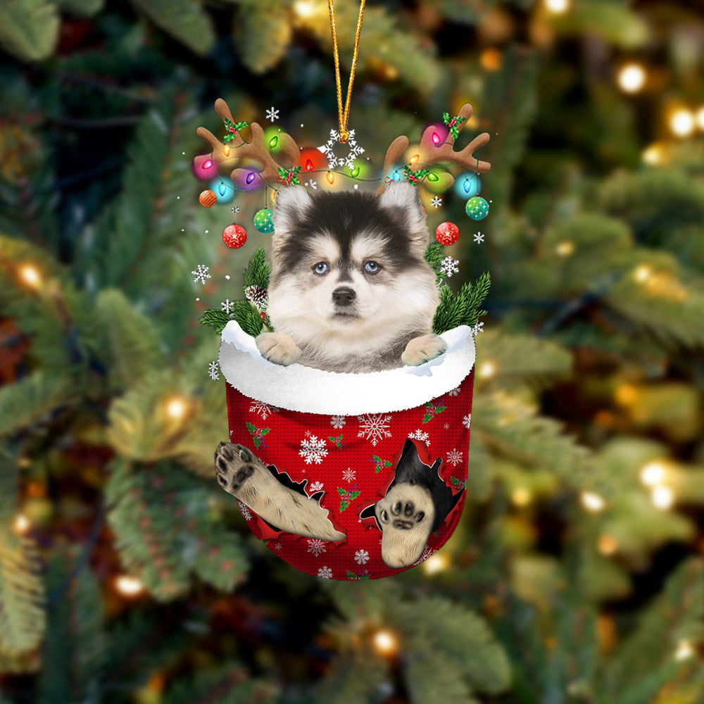 Pomsky In Snow Pocket Christmas Ornament Flat Acrylic Dog Ornament OO2165