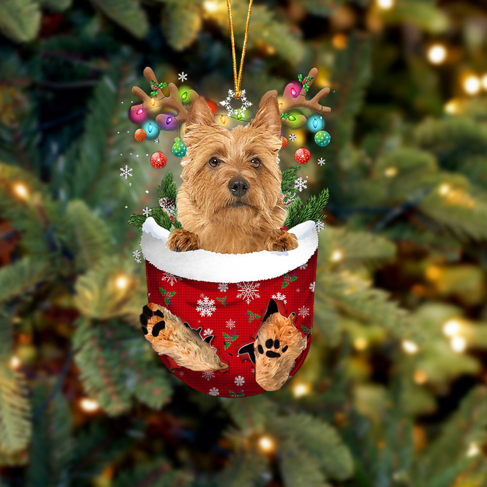 Australian Terrier In Snow Pocket Christmas Ornament Flat Acrylic Dog Ornament OO2160