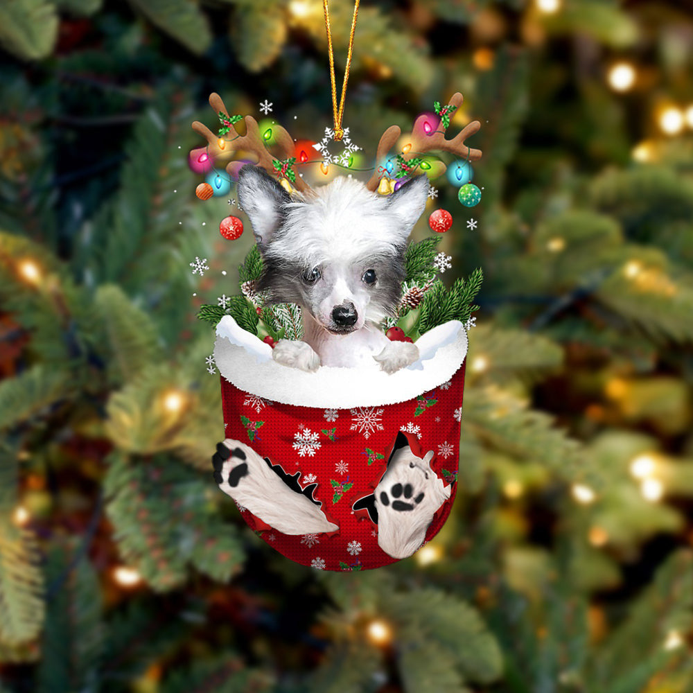Chinese Crested Dog In Snow Pocket Christmas Ornament Flat Acrylic Dog Ornament OO2153