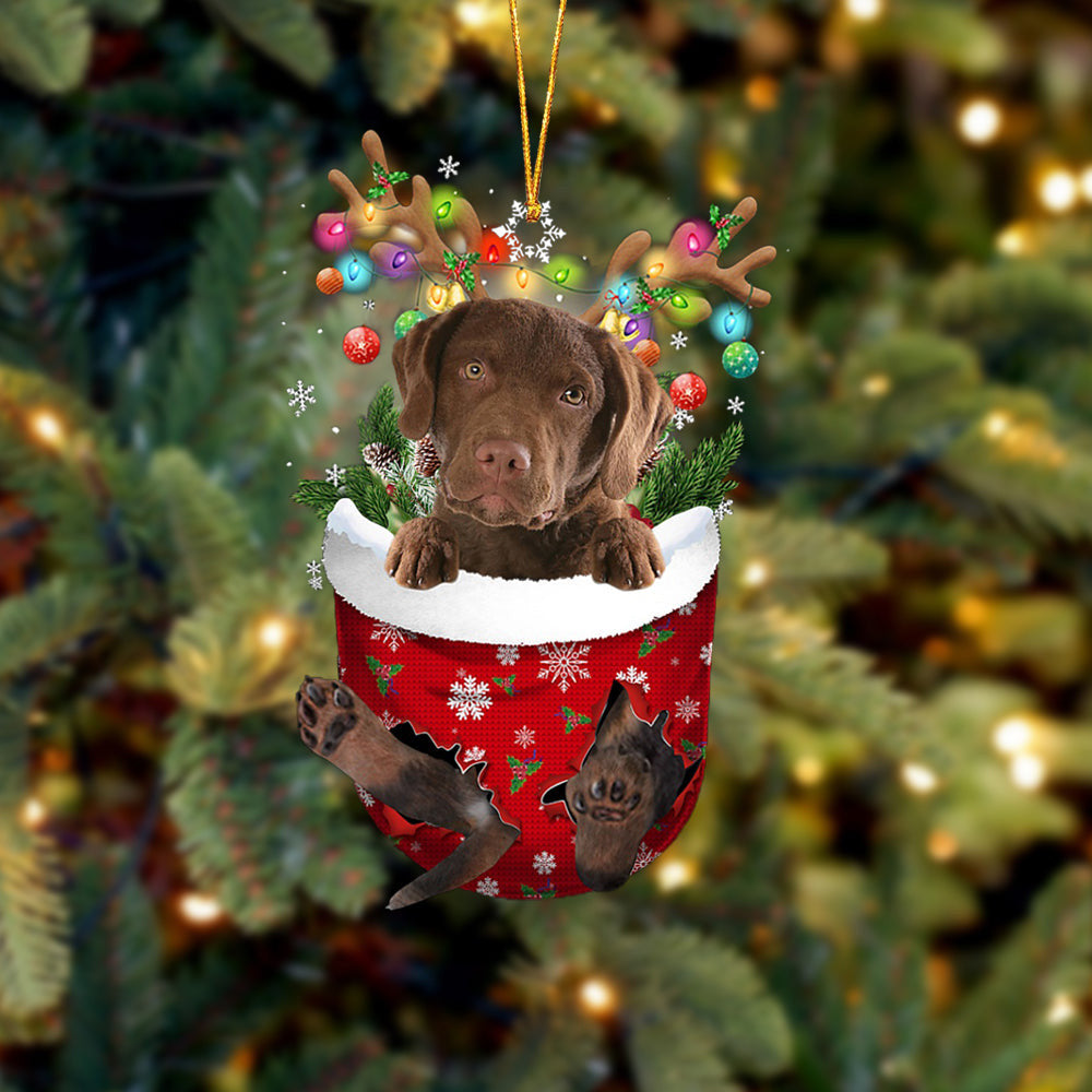 Chesapeake Bay Retriever In Snow Pocket Christmas Ornament Flat Acrylic Dog Ornament OO2138