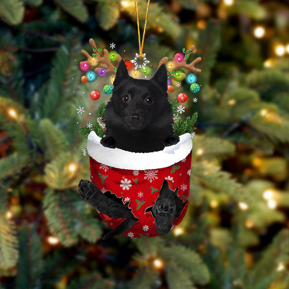 Schipperke In Snow Pocket Christmas Ornament Flat Acrylic Dog Ornament OO2137